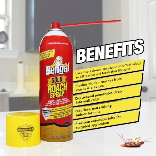 Bengal Gold Roach Spray Dry Aerosol Indoor Roach Killer - 11 oz - 2 Pack