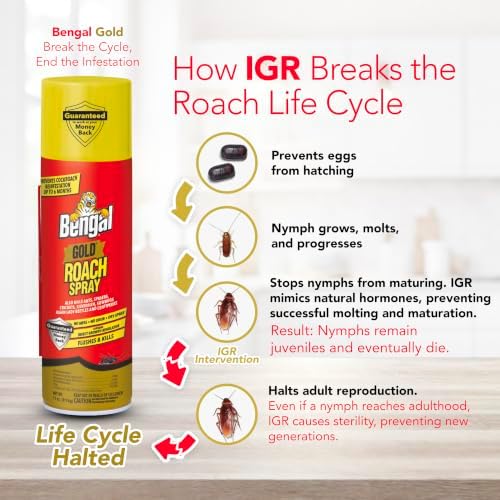 Bengal Gold Roach Spray Dry Aerosol Indoor Roach Killer - 11 oz - 2 Pack
