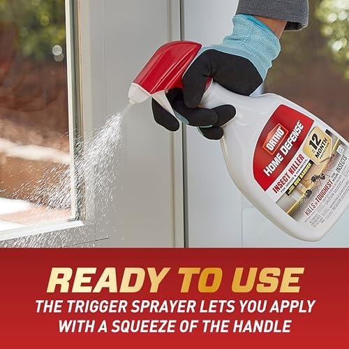 Ortho Home Defense Insect Killer for Indoor & Perimeter2, 24 oz. (2-Pack)
