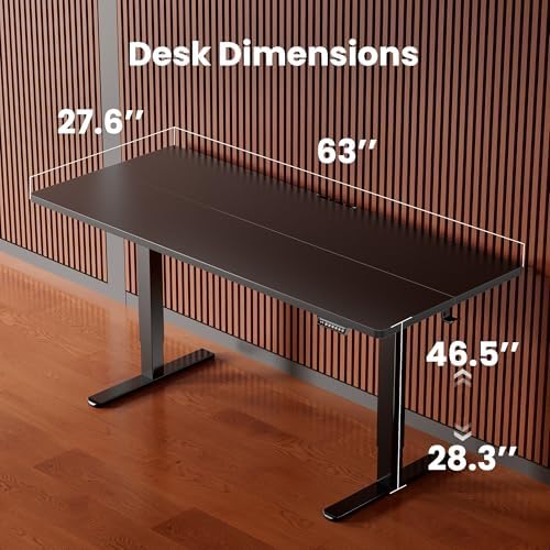 ErGear Height Adjustable Electric Standing Desk, 63 x 28 Inches Sit Stand up Desk, Memory Computer Home Office Desk, Black