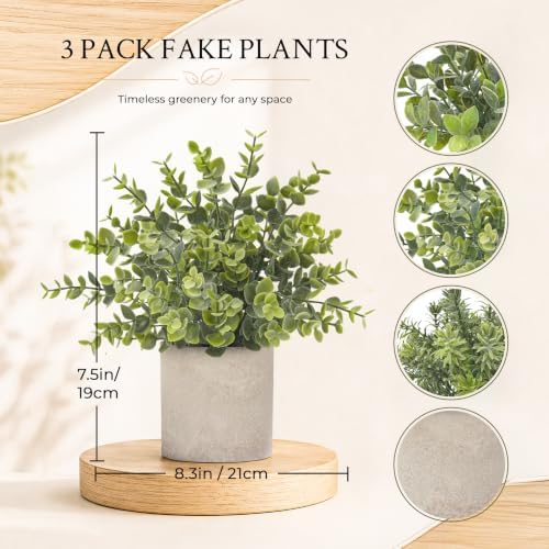 Der Rose 3 Pack Fake Plants Artificial Plants for Office Bathroom Decor