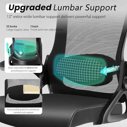 Fizzin Office Chair Mesh Computer Chairs with Adjustable Lumbar Support