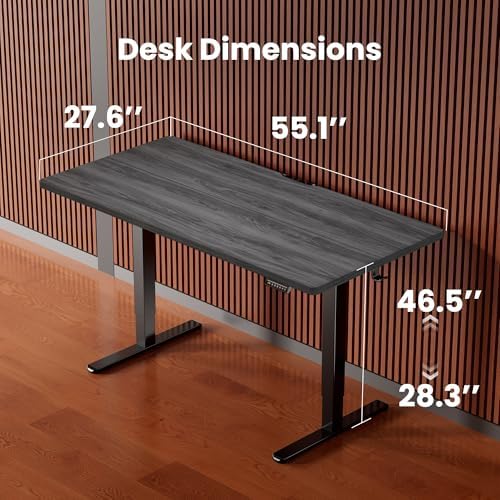 ErGear Height Adjustable Electric Standing Desk, 55 x 28 Inches Sit Stand up Desk, Memory Computer Home Office Desk, Grey