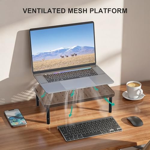 WALI Plastic Computer Monitor Stand, Adjustable Laptop Riser, up to 44 lbs