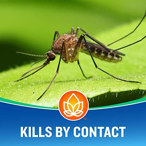 Cutter Bug Control Spray Concentrate | Kills Mosquitoes | For Insects | Pack of 2