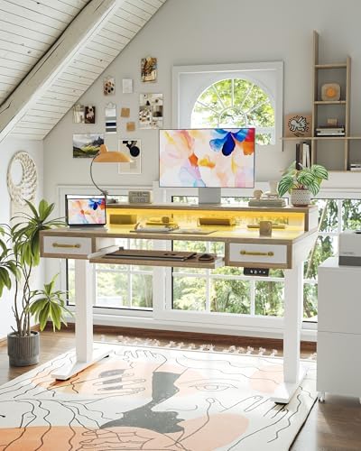 TIQLAB Standing Desk with Two Drawers, Stand Up Standing Desk Adjustable Height, Electric Sit Stand Table with Storage Shelf and Splice Board, with LED Light, 55 * 28 inch, Maple