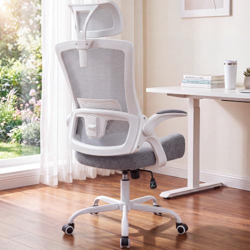 NEO CHAIR Office Chair with Adjustable Ergonomic Lumbar Headrest, Grey