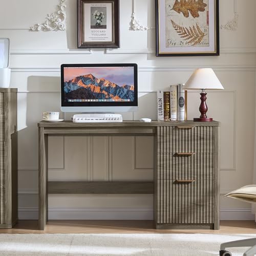 LEYAOYAO Office Desk 48" with 3 Drawers Storage File Cabinet