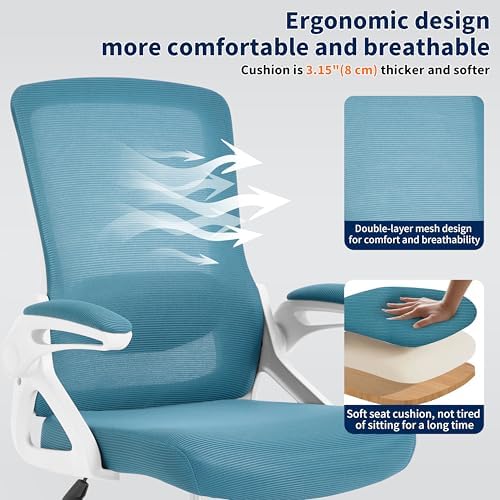 Ergonomic Office Chair Desk Chair with Adjustable Lumbar Support