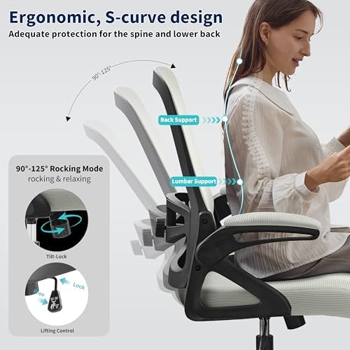 Ergonomic Office Chair Desk Chair with Adjustable Lumbar Support