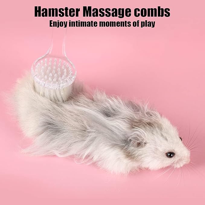2PC Nail Cleaner Brush Pet Hair Comb Hamster Hair Grooming Cleaning Brushes Pet Animal Bathing Brushes for Guinea Pig Chinchilla Ferret Cleaning Tool (Clear)