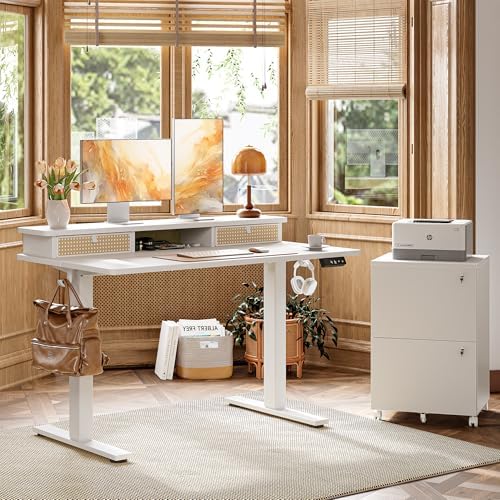 TIQLAB Standing Desk with Two Drawers, Stand Up Standing Desk Adjustable Height, Electric Sit Stand Table with Storage Shelf and Splice Board, 48 * 24 inch, White Wicker