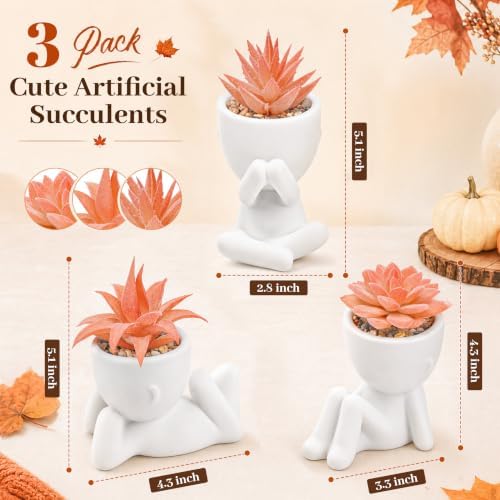 Der Rose 3 Pack Fall Fake Succulents Plants Autumn Room Decor for Bathroom