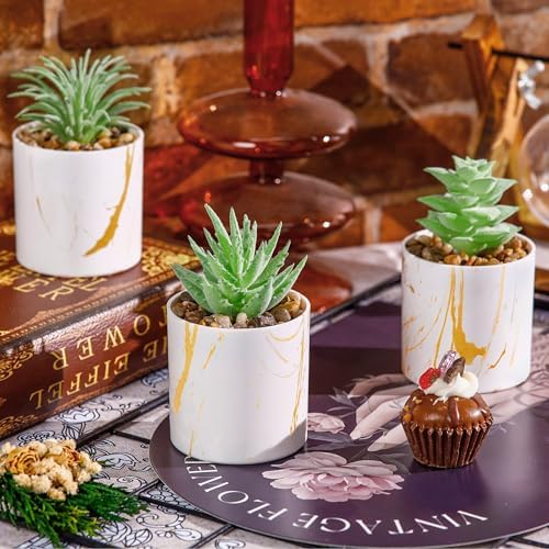 Der Rose 4 Pack Mini Fake Succulents in Pots for Office Desk Accessories