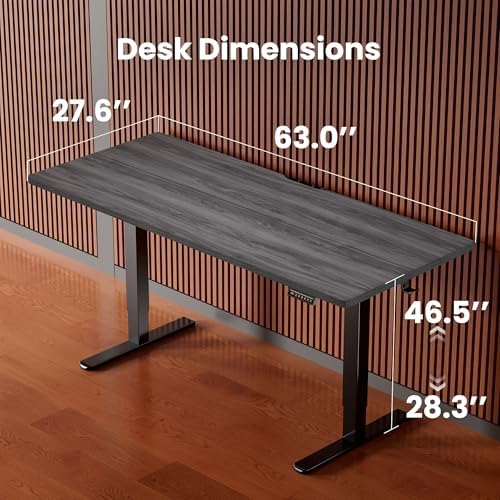 ErGear Height Adjustable Electric Standing Desk, 63 x 28 Inches Sit Stand up Desk, Memory Computer Home Office Desk, Grey
