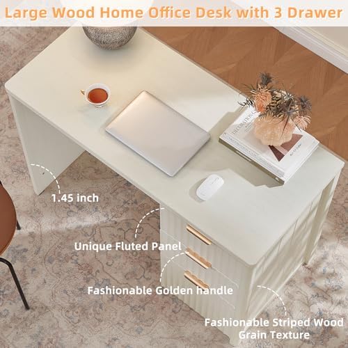 LEYAOYAO Office Desk 48" with 3 Drawers Storage File Cabinet