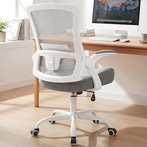 NEO CHAIR Office Desk Mesh Chair with Adjustable Ergonomic Lumbar, Grey