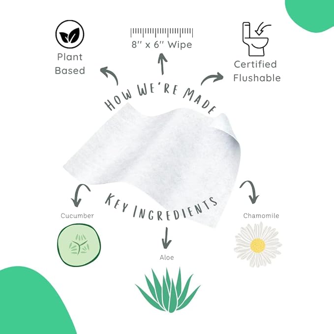 Stall Mates 60-Wipe Home Pack: Flushable | Hypoallergenic Moist Wipes | Made in the USA | Unscented with Vitamin-E & Aloe