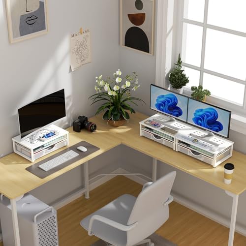 gianotter Computer Monitor Stand Riser with Drawer