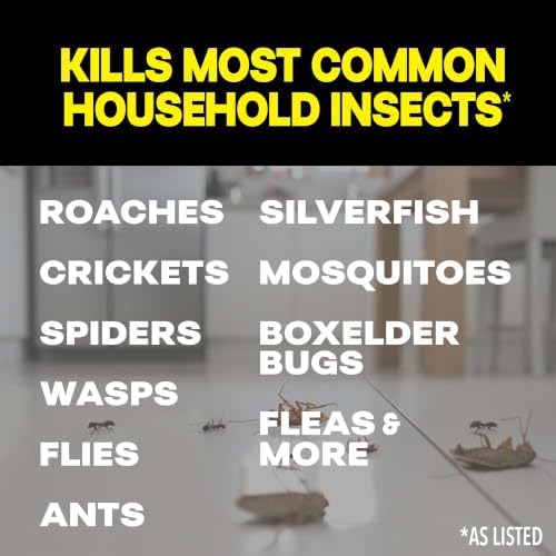 Raid Multi Insect Killer Bug Spray, Orange Breeze, 15 oz