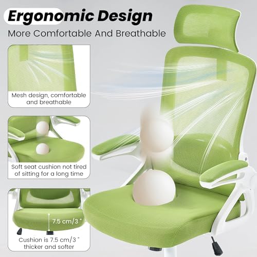 Fizzin Office Chair Mesh Computer Chairs with Adjustable Lumbar Support