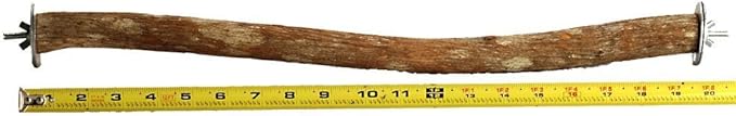 Polly's Full Length Hardwood Cage Perch for Parakeets, Cockatiels, Cockatoos, Macaws, and Other Birds (20")