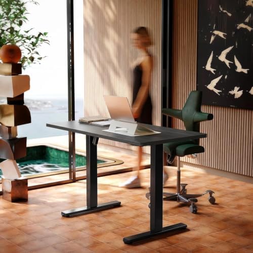 HUANUO 55x28 Inch Electric Standing Desk, Height Adjustable, Grey