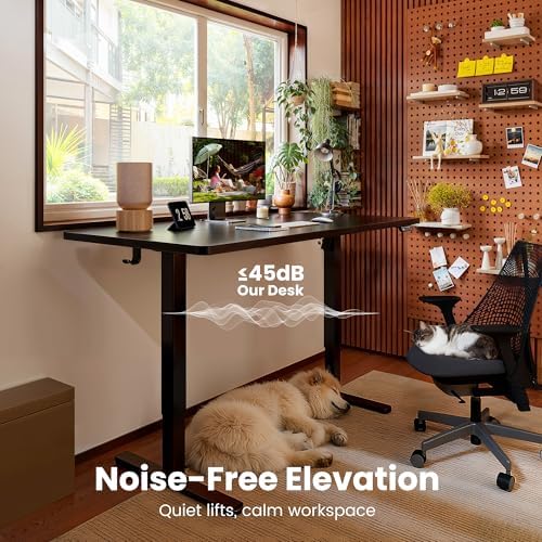 ErGear Height Adjustable Electric Standing Desk, 40 x 24 Inches Sit Stand up Desk, Memory Computer Home Office Desk, Carbon Fiber Black