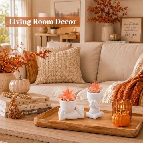 Der Rose 3 Pack Fall Fake Succulents Plants Autumn Room Decor for Bathroom