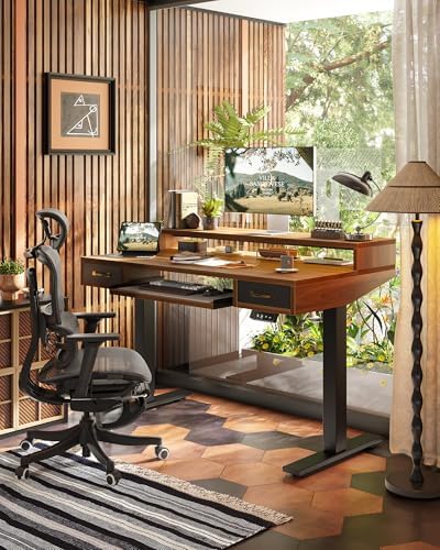 TIQLAB Standing Desk with Two Drawers, Stand Up Standing Desk Adjustable Height, Electric Sit Stand Table with Storage Shelf and Splice Board, with LED Light, 55 * 28 inch, Black Walnut
