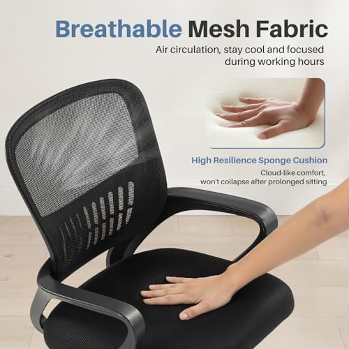 DUMOS Home Office Chair, Lumbar Support Computer Desk Chair