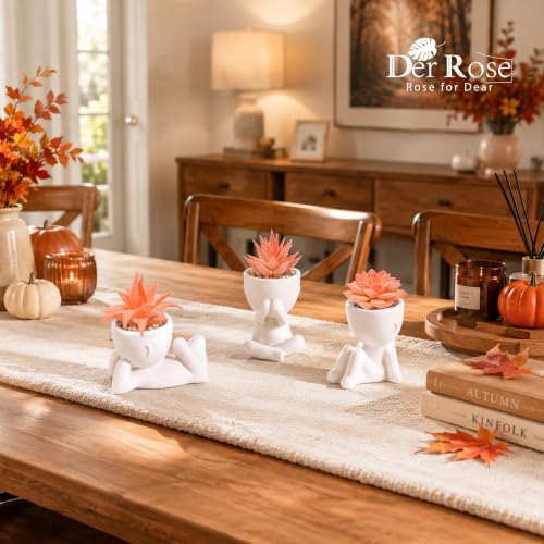 Der Rose 3 Pack Fall Fake Succulents Plants Autumn Room Decor for Bathroom