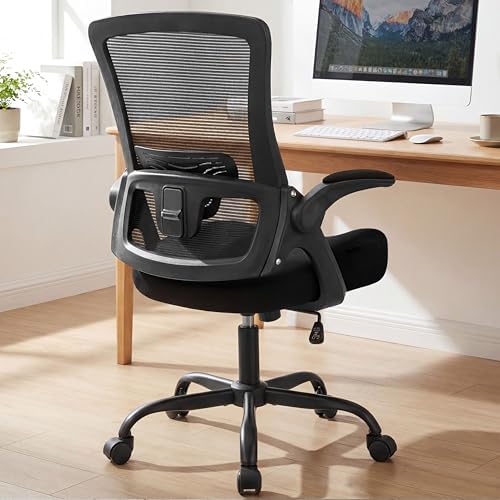 NEO CHAIR Office Desk Mesh Chair with Adjustable Ergonomic Lumbar, Black