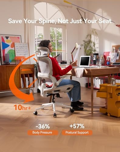 SIHOO B100 Office Chair, Comfy Ergonomic Office Chair, High Back Computer Chair with Adaptive Lumbar Support & wide Headrest, Flip-up Armrests, Swivel Desk Chair for Long Hours, WITHOUT Footrest, Grey