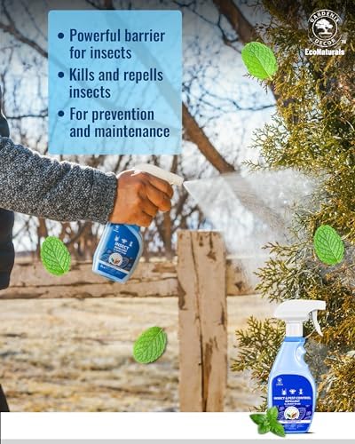 All Natural Bug Spray for Home - Non-Toxic Peppermint Oil Insect and Pest Control Kit - 8 oz Ready-to-Use Bug Spray - Indoor and Outdoor Protection- Ant Spray - Spider Repellent Indoor
