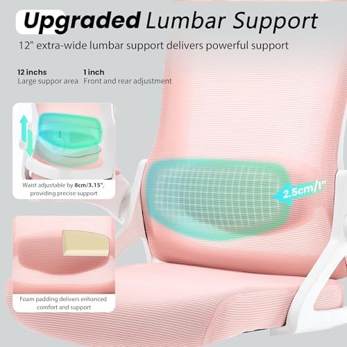 Fizzin Office Chair Mesh Computer Chairs with Adjustable Lumbar Support