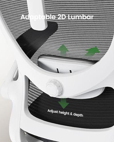 Marsail Ergonomic Office Chair: Office Desk Chair with High Back Mesh and Adjustable Lumbar Support Rolling Work Swivel Task Chairs with Wheel 3D Armrests and Headrest