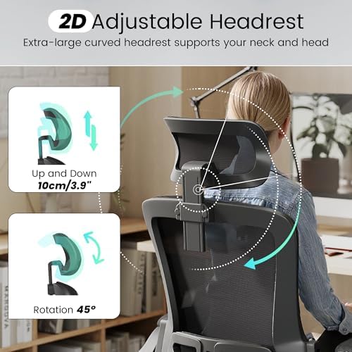 Fizzin Office Chair Mesh Computer Chairs with Adjustable Lumbar Support