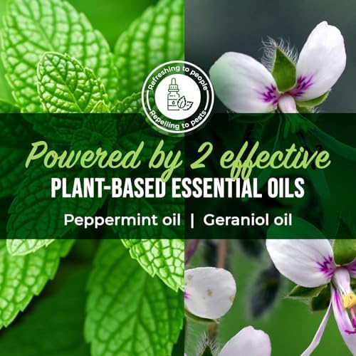 Mighty Mint Peppermint Oil Spider Repellent Spray, 16 oz