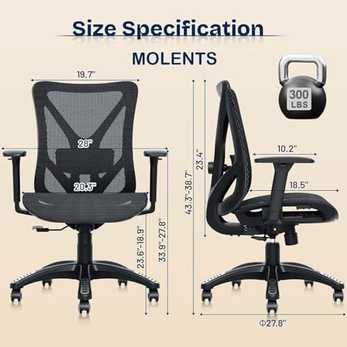 Ergonomic Office Chair, Mesh Computer Desk Chairs with BIFMA X5.1 Certified, Adjustable Lumbar Support, 3D Arm, Tilt Back, Wide Seat, Comfy Swivel Work Task Chair for Company and Home (Obsidian Black)