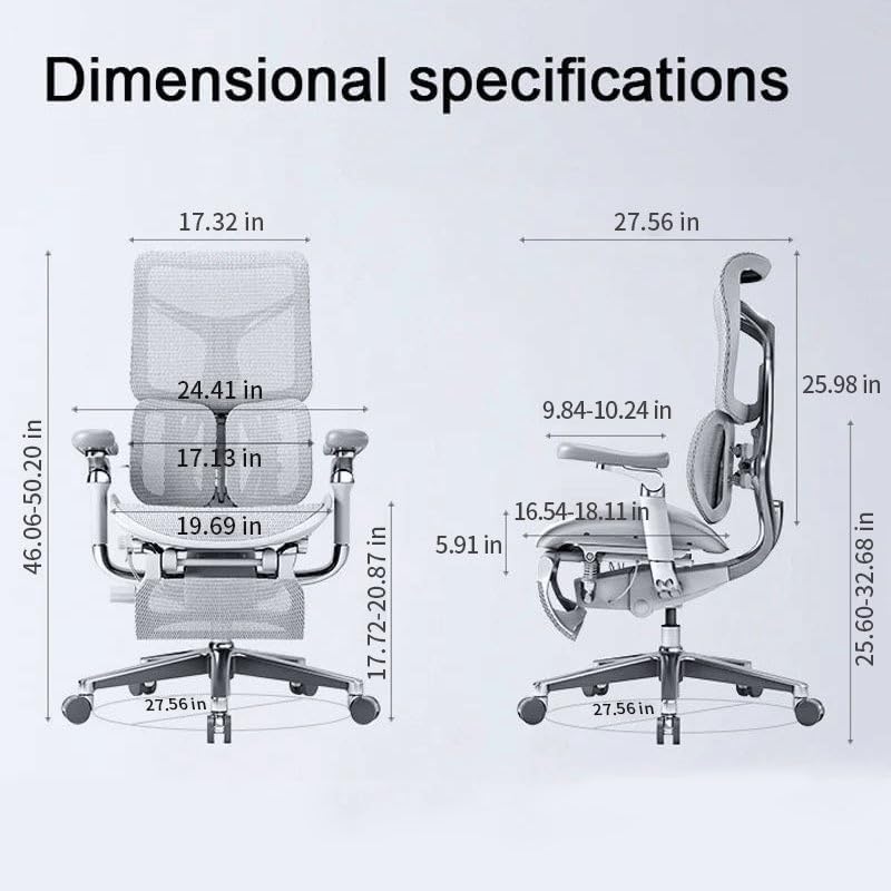 VIDI Ergonomic Chair Net, Executive Home Office, with Waist Support, Backrest