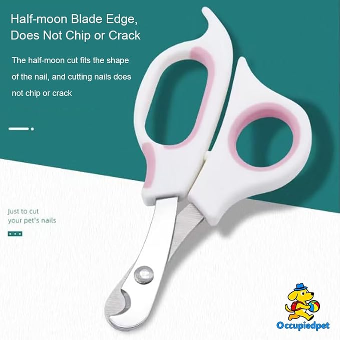 Pet Nail Clippers for Small Animals, Stainless Steel Cat Nail Trimmers with Non-Slip Handle, Safe & Sharp Claw Cutter for Puppies, Cats, Rabbits and Ferrets | Featuring Non-Slip Handle, Safe & Sharp Claw Cutter for Puppies, Cats, Rabbits and Ferrets