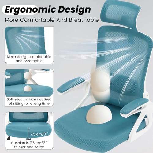 Fizzin Office Chair Mesh Computer Chairs with Adjustable Lumbar Support