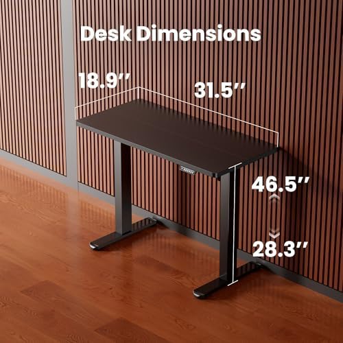 ErGear 31 X 19 Inch Height Adjustable Electric Standing Desk, Black