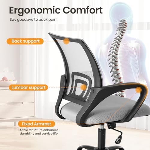OLIXIS Ergonomic Office Chair 2 Pack, Home Desk Mesh Chairs, Lumbar Support