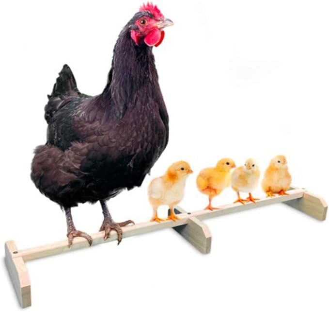 Wooden Bird Stand Perch for Parrot, Single Rack for Leg Exercise | Natural Grain Finish, Colorfast Surface, 1pcs Build, Compact Sizing, Easy Placement in Cages, Toy Item