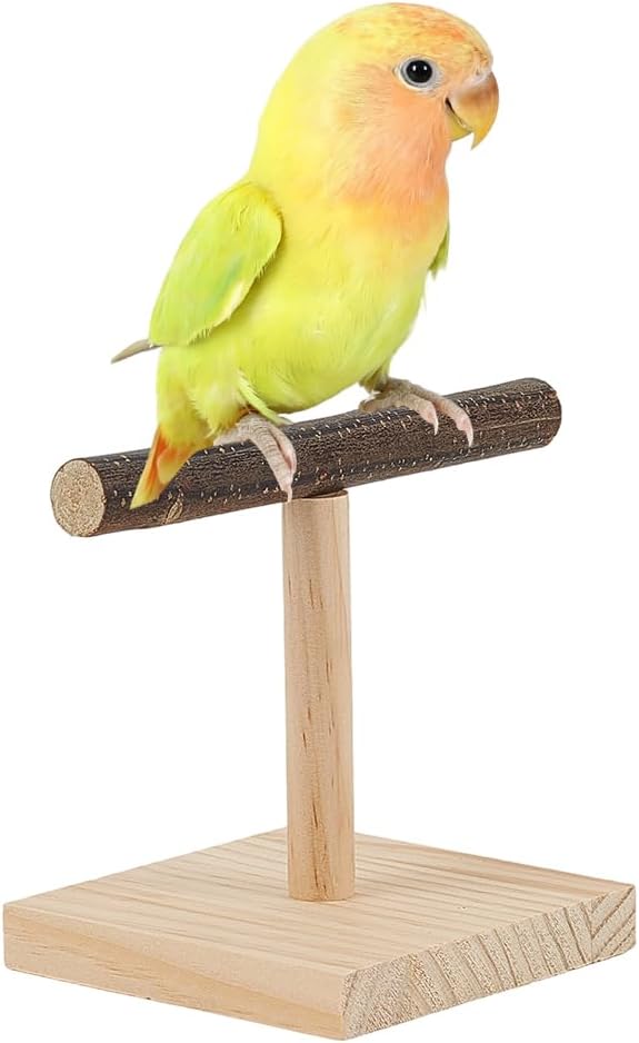 Bird Perch Stand Bird Training Portable Tabletop Platform Natural Wood Parrot Cage Gym Accessories for Parakeets Cockatiels Conures Macaws Finches Lovebirds Tabletop Cage Top