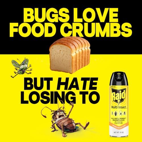 Raid Multi Insect Killer Bug Spray, Orange Breeze, 15 oz