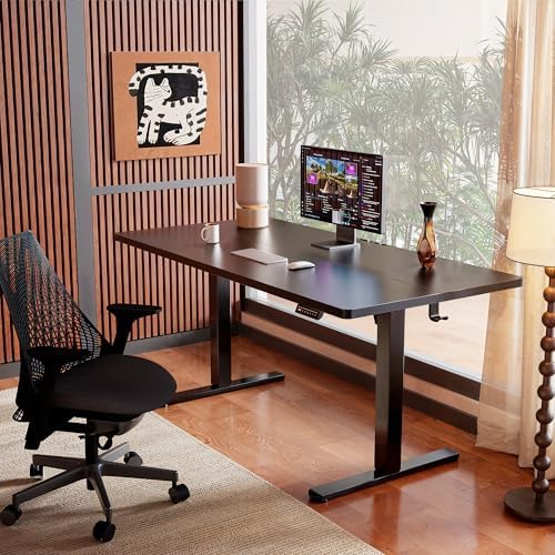ErGear 48 X 24 Inch Height Adjustable Electric Standing Desk, Black