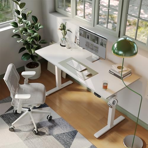 Agilestic 55 * 24 Inch Height Adjustable Electric Standing Desk, White